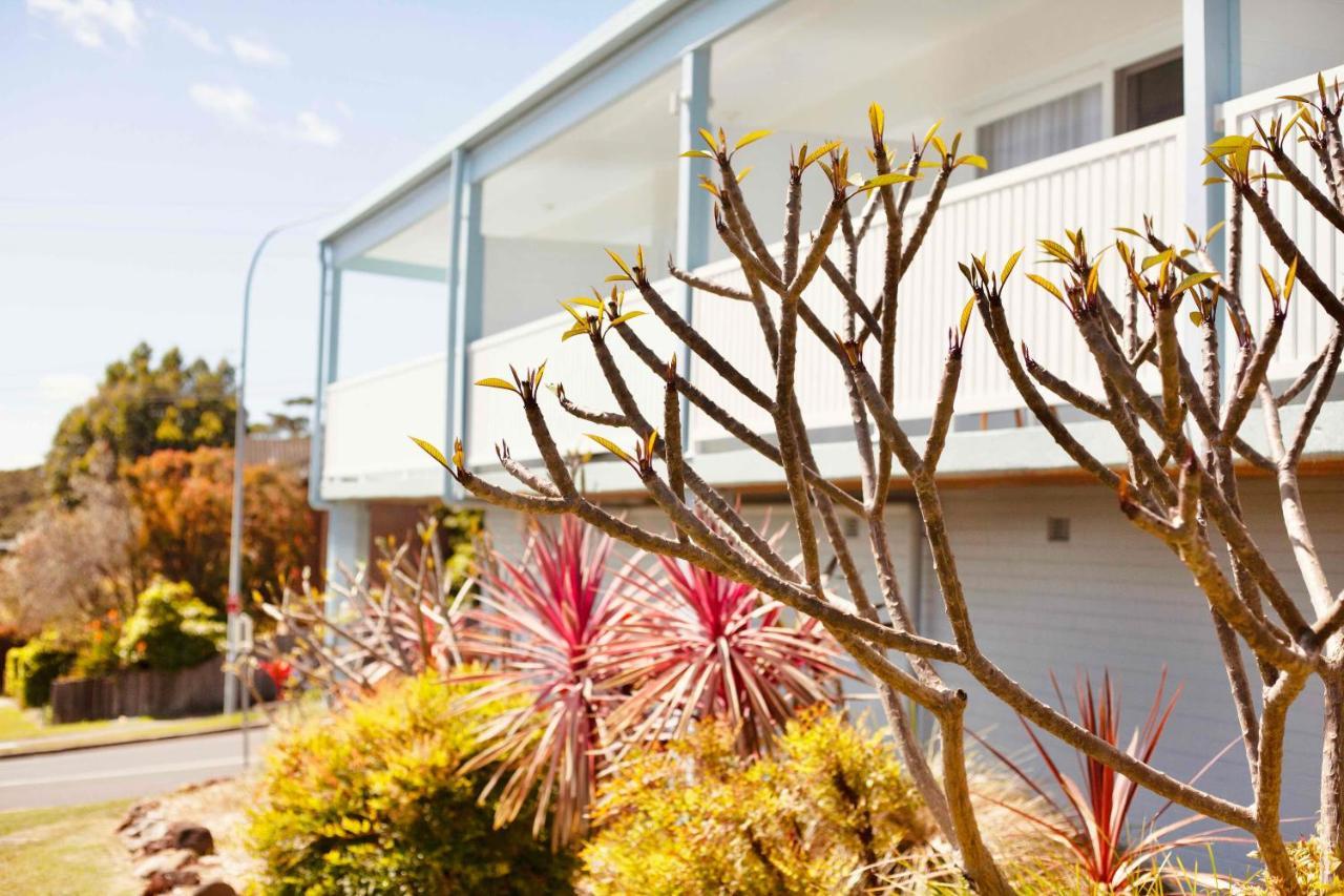 Mollymook Motel Eksteriør billede